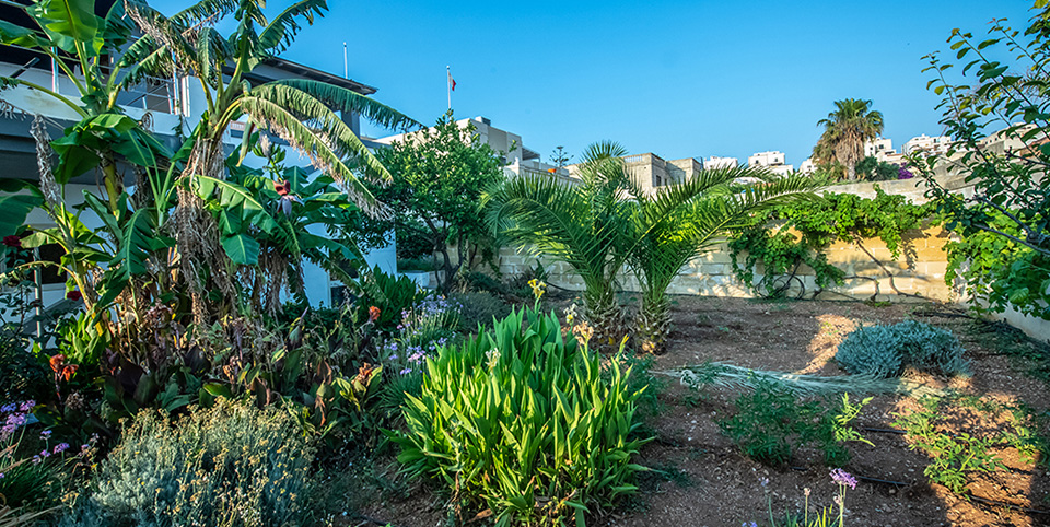 La Mediterranea Malta